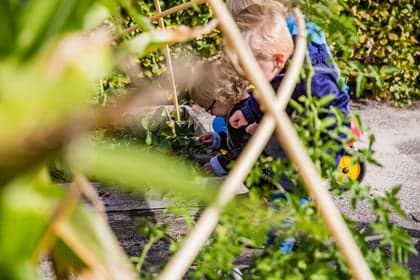 KDV De 'Dassenburcht' Bergentheim foto 9