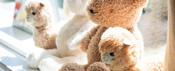 De Kikkerkoning Valburg foto 6