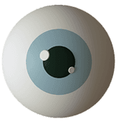 buitenschoolse opvang Metropool foto 6