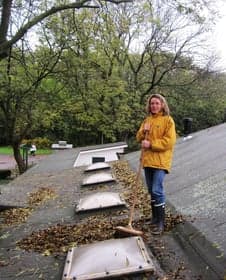 De Dikkedeur Heemraadssingel foto 7