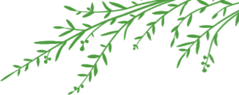 Kinderopvang Kwibus foto 10