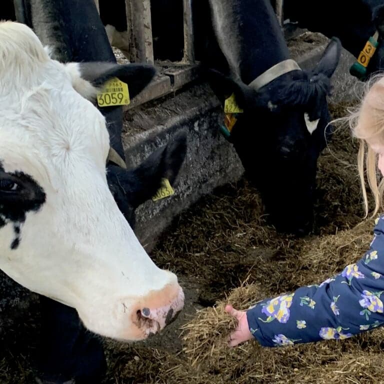 Kinderopvang 't Krobbehiem foto 7