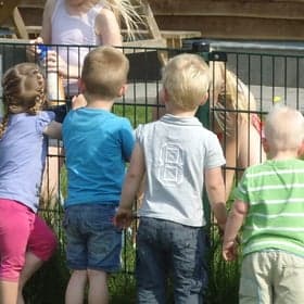 Kinderopvang 't Krobbehiem foto 9