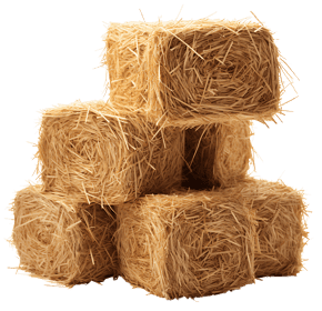 Kinderopvang Het Vrolijke Koetje foto 9