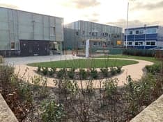 BSO De Boomhut foto 7