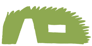 BSO Struin West foto 5