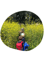 BSO Struin West foto 7