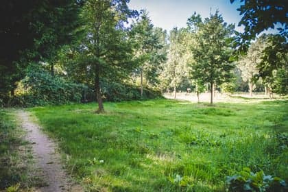 BSO Partou Hoff van Hollantlaan 1 foto 5