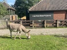 Kindercentrum 't Lammetje foto 9