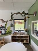 Dak Driemaster foto 6