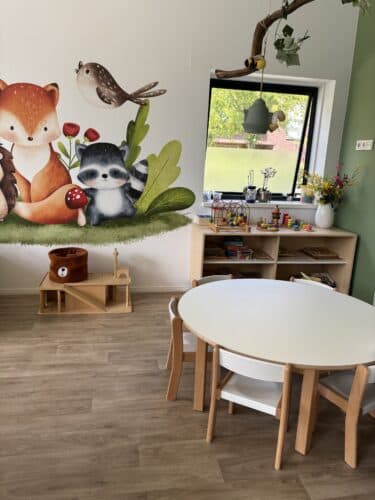 Dak Driemaster foto 7