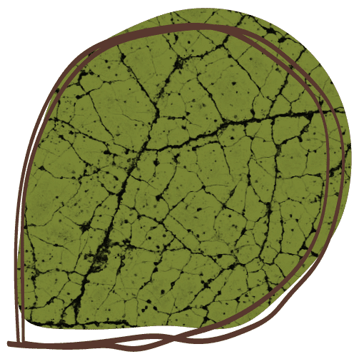 SamSam Blub, zegt de vis foto 7