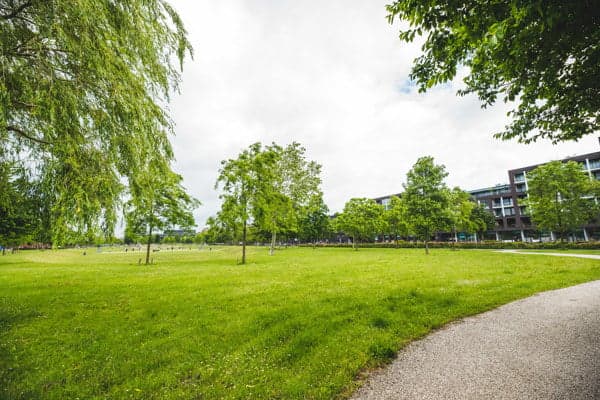 Partou KDV Fritz Dietrich Kahlenbergstraat 64 foto 9