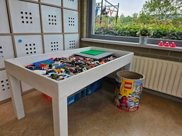 De Flamingo's foto 4