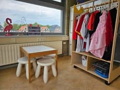 De Flamingo's foto 5