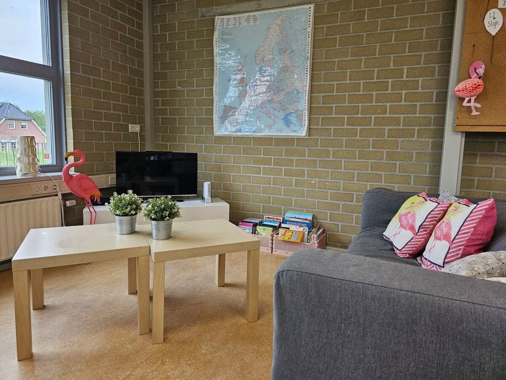 De Flamingo's foto 6