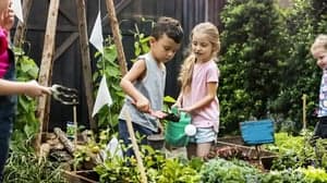 Buitenschoolse opvang de Blokkendoos 3