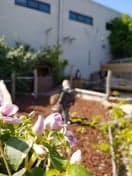 B.s.o. Bloesem foto 7