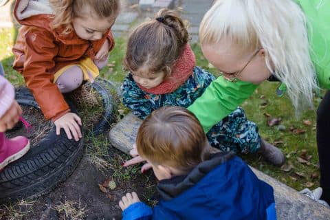 Wiedewei Dirksland 3