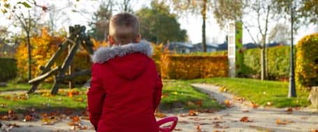 SKSG Ranonkel foto 8