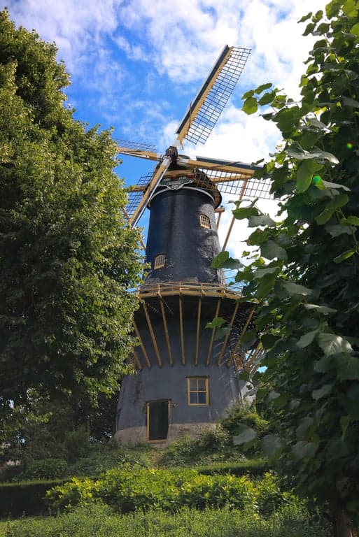 De Malle Molen foto 4