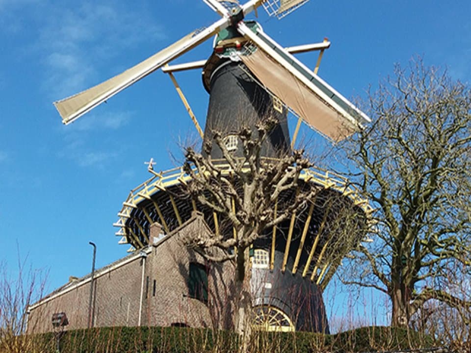 De Malle Molen foto 5