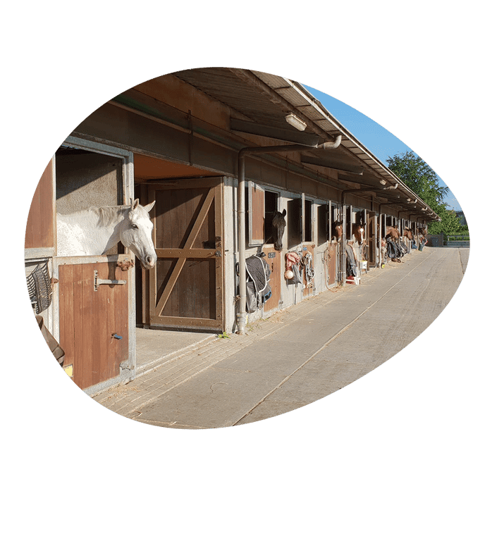 Kindercentrum Quinzokids B.V. foto 5