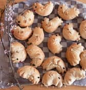 Peuteropvang Windekind foto 7