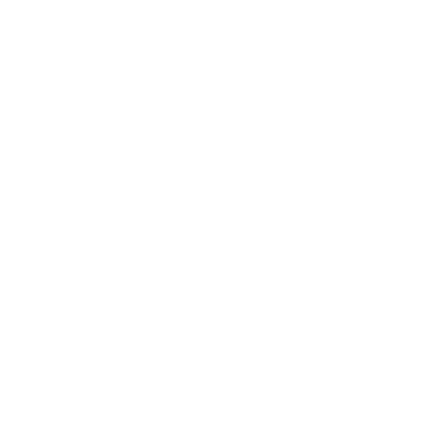 De Locomotief foto 7