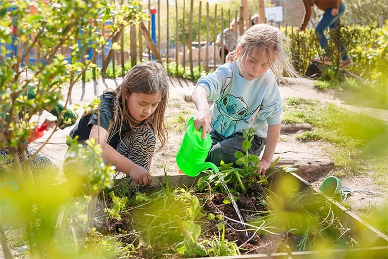 BSO de Zeepaardjes foto 6
