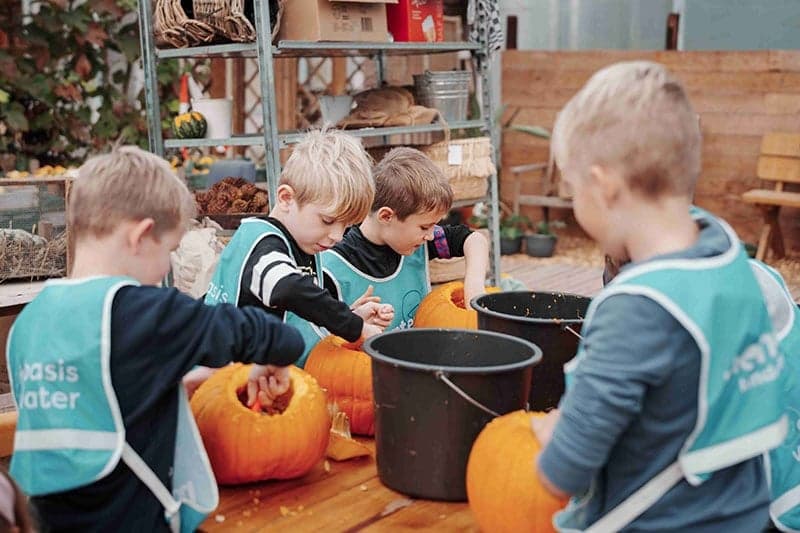 BSO de Zeepaardjes foto 8