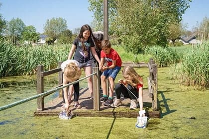 BSO de Zeepaardjes foto 9