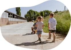 Hoeve Buitengewoon 3