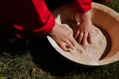 Hoeve Buitengewoon foto 8