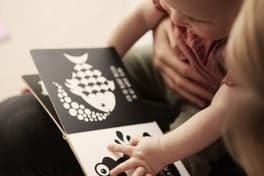 Partou KDV Koningskinderen Koning Lijsterbaard foto 7