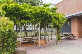 Partou BSO Jade 43 foto 5