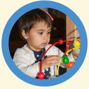 BSO Het Dierenrijk 2