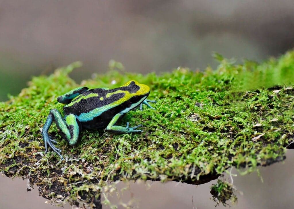 Peuteropvang Kikker foto 7