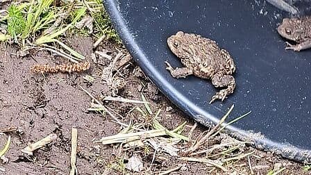 Peuteropvang Kikker foto 9