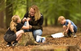 Bos BSO Driebergen 2