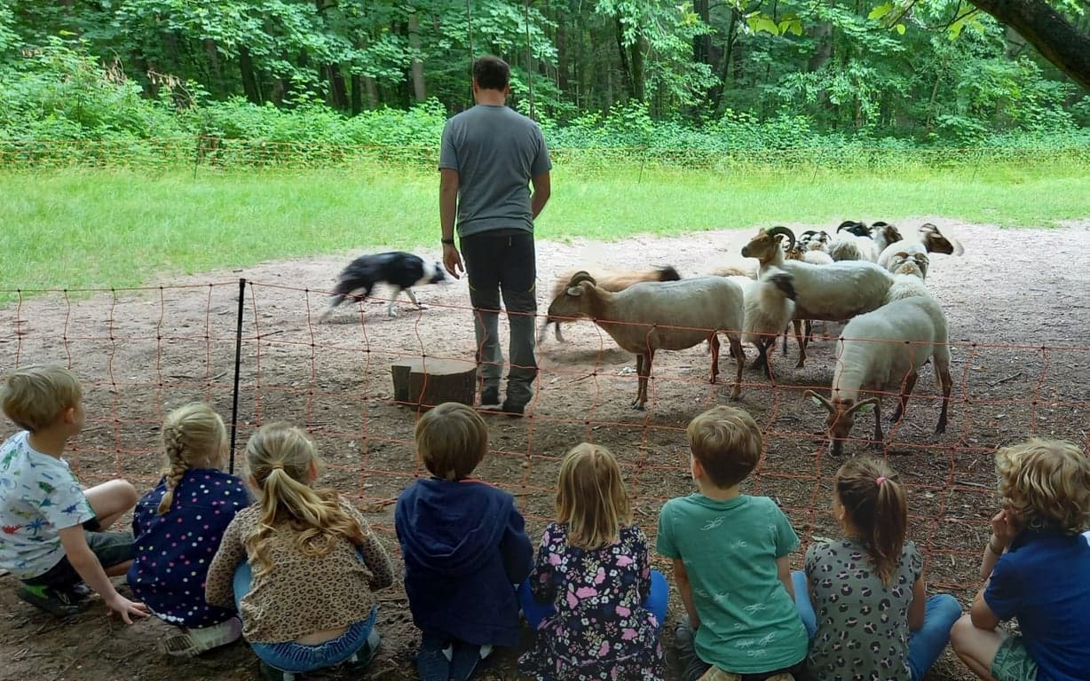 Bos BSO Driebergen foto 9