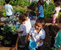 De Blokkenhut foto 9