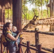 Dependance BSO De Arebaar foto 5