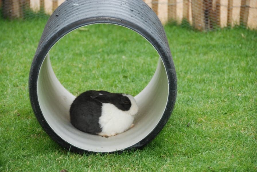 KDV Okiedokie BV foto 6