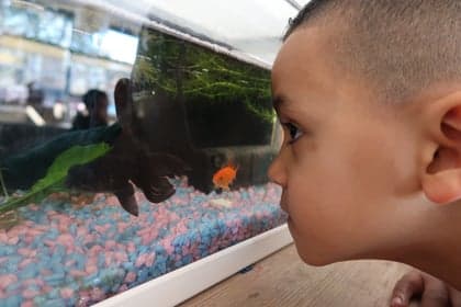 Kiddoozz Sperwerlaan foto 7