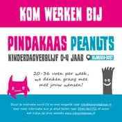 KDV Pindakaas Peanuts foto 8