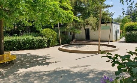 KDV Olleke Bolleke foto 9