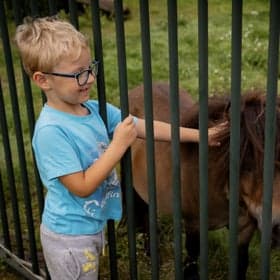 Kinderdagopvang Ot en Sien foto 6