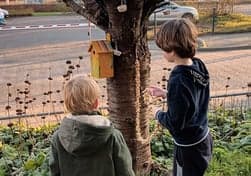 Peuteropvang Waayertje 3