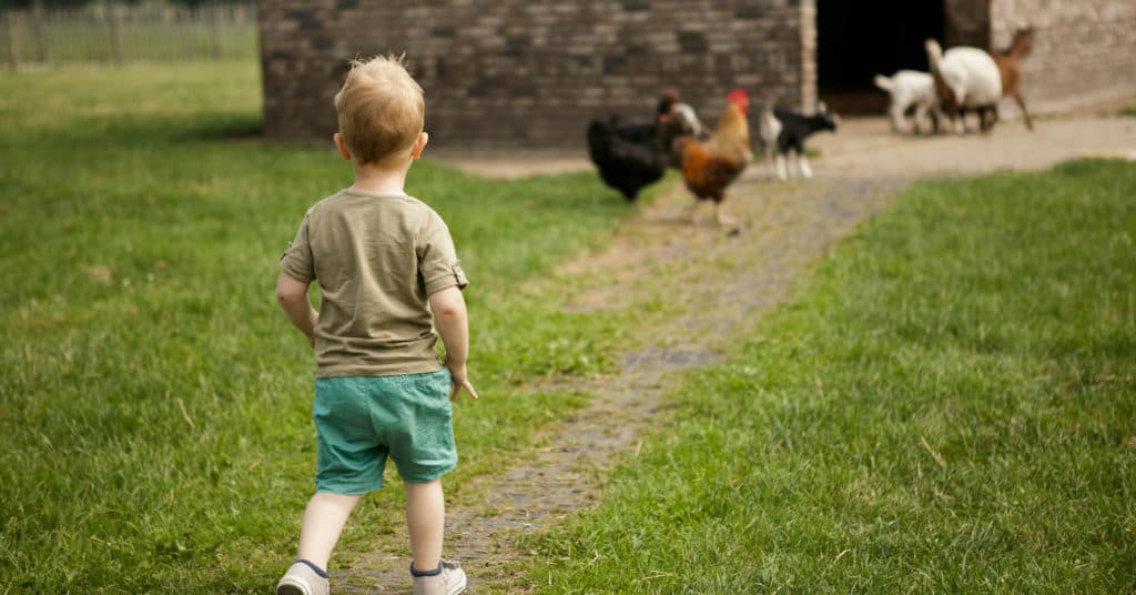 Buitenschoolse opvang Beestenboel foto 6